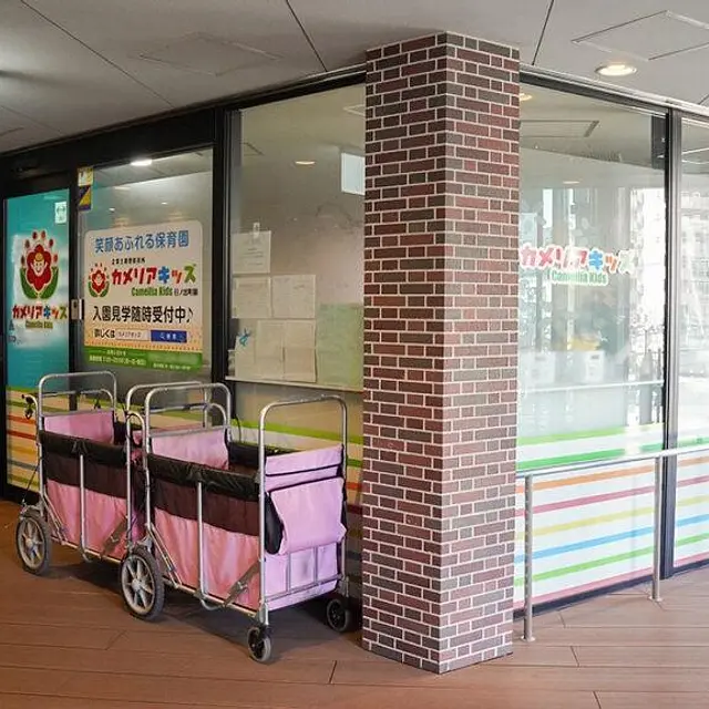 カメリアキッズ日ノ出町園